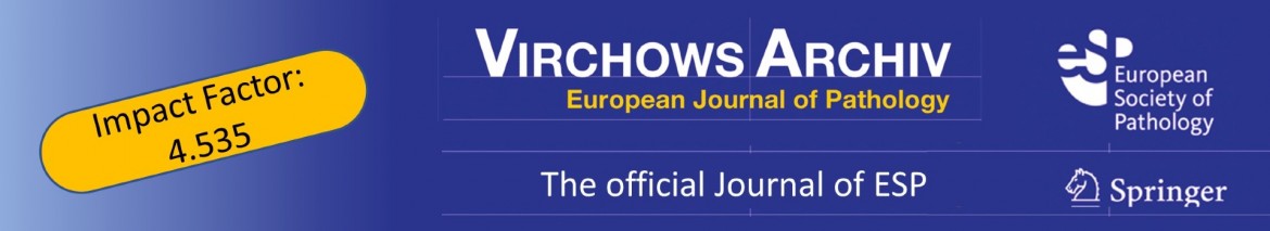 Virchows Archiv - European Journal of Pathology